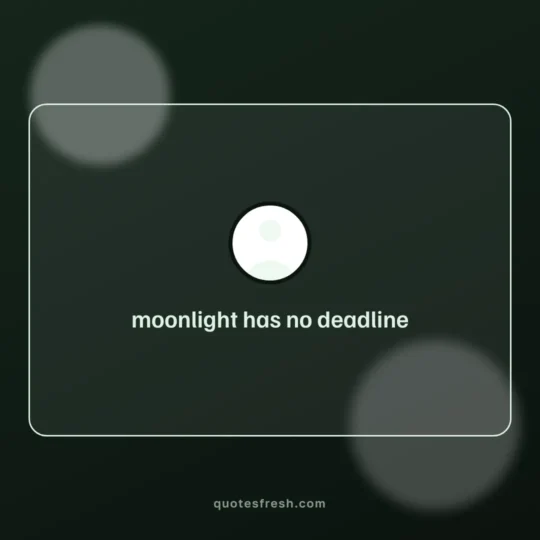 Aesthetic Quotes card: moonlight has no deadline
