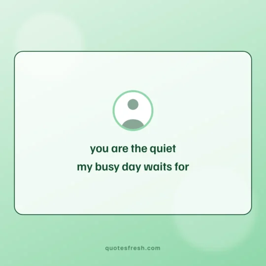 Quotes card: you are the quiet
