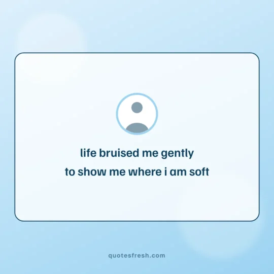 Sad Quotes card: life bruised me gently