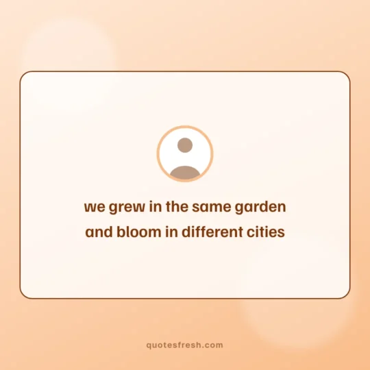 Sister Quotes card: we grew in the same garden